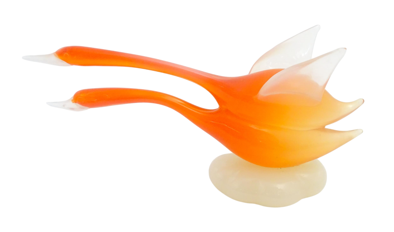 1101400681 Photoroom